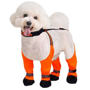 lot 6031 image: Dog Suspender Boots, Anti-Slip & Fall Waterproof Dog Shoes Leggings, Dog Paw Protector for Small Medium Dogs, Adjustable Dog Boots Pet Shoes for Outdoor Walking