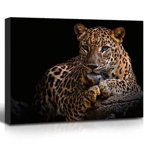 lot 6370 image: Leopard Canvas Prints Black Background Golden Wildlife Animal Leopard Wall Art Cheetah Pictures Artwork for Bathroom Bedroom Office Living Room Hallway Paintings Decorations Ready to Hang 12x16
