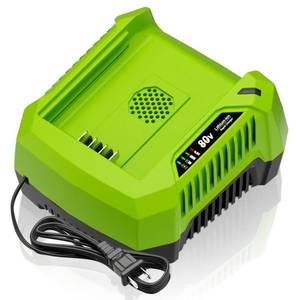 lot 11296 image: GCH8040 4.0A Rapid Charger Replacement for Greenworks Pro 80V Battery Charger 2958602AZ 2964602 GCH8020 2936802, Compatible with BAB740 BAB741 BAB742 BAB743 LB60200 LB8080 2981102 GBA80200 GBA80250