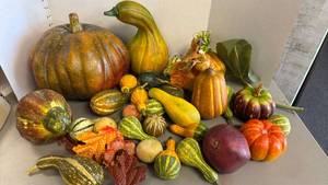 lot 1231 image: Faux pumpkins and gourds