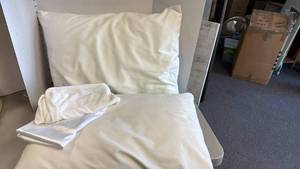 lot 1307 image: 2 standard pillows and 1 pillow cover