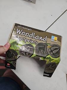 lot 20680 image: Yellow Door Lets Investigate Woodland Footprints - 5pcs