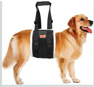 lot 1108 image: Adjustable Dog Lift Harness Dog Sling for Large Dogs Hind Leg Support Soft Lift Support and Rehab Harness for Weak Rear Legs, Helps Senior, Injured, Disabled and After ACL Surgery Dogs Large