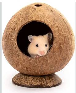 lot 1180 image: andwe Coconut Hut Hamster House Bed for Gerbils Mice Small Animal Cage Habitat Decor