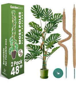 lot 1243 image: 2 Pack 48 Bendable Moss Pole Monstera Plant Support for Climbing Indoor Plants - Stakes for Potted Climbers - Tall Sticks Indoor Trellis for Houseplants - Accessories for Monstera Pot