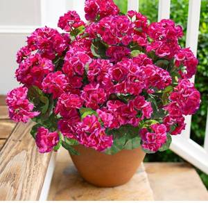 lot 1294 image: Artificial Geranium Fake Flowers for Outdoors Decoration, 6 Bundles Silk Geraniums Flower UV Resistant Look Real Faux Plants for Outside Planter Front Door Garden Patio Balcony Yard Home, Fuchsia