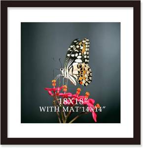 lot 131282 image: 18x18 Frame Black With Mat 14x14 Solid Wood Picture Frames Wall Mounting (1 pack, 18x18 Inch)