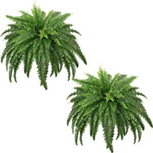 lot 231411 image: 45 Fake Ferns, Realistic Large Artificial Bush Plants, 2 Artificial Boston Ferns with 59 Fronds for Outdoors Planter Indoor Home Garden Porch Decor