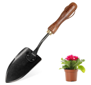 lot 2565 image: Pack of 2 Garden Shovel with Walnut Handle, Small Gardening Tools for Planting, Digging and - Retail $0