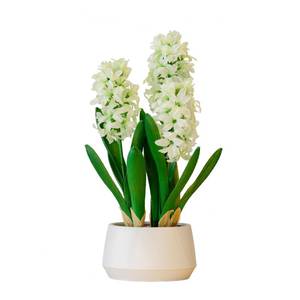 lot 2580 image: 365 Blooming Decor 16 inch Tall White Potted Faux Hyacinth Flower Plant with River Stone-Luxury Artificial Garden Hyacinth for Home, Office Decoration, Housewarming