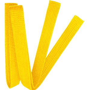 lot 2829 image: 8.6ft Long Soft Belt for Martial Arts Karate Taekwondo Judo (Yellow) - Retail $0