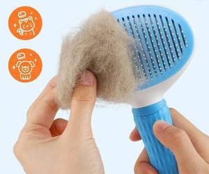 lot 11298 image: Jewyow Pet Grooming Brush