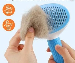 lot 11460 image: Jewyow Pet Grooming Brush