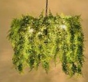 lot 11475 image: Artificial Boston Fern Hanging Plant Set