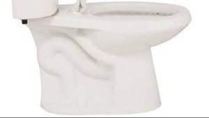 lot 11667 image: Glacier Bay Pro Series Elongated Toilet Bowl Only