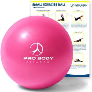 lot 4256 image: ProBody Pilates Small Exercise Ball - 9 Inch Workout Ball for Stability, Barre, Yoga, Core & Physical Therapy, Home Gym & Office Use (Pink)