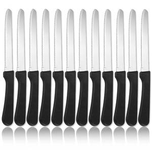 lot 6151 image: ReaNea Steak Knives Set of 12, Stainless Steel Steak Knife Set, Serrated Steak Knives, Gifts for Home, Restaurant, Parties, Wedding, Camping, Outdoor