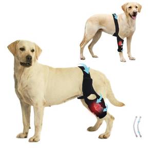 lot 12127 image: KitchMingle Dog Rear Leg Knee Brace with Side Stabilizers - ACL Support, Arthritis & Knee Dislocation Relief, Extra Stability, Warm Joints & Pain Reduction - Fits ��7.5 Inches (XL)