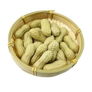 lot 20115 image: 36pcs Fake Peanut Simulation Peanuts Artificial Food for Kitchen Home Party Decoration Teaching Aids Wedding Decoration Photography Props