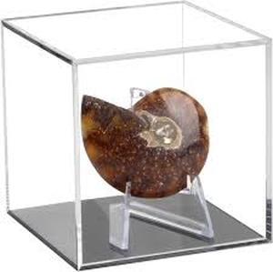 lot 12212 image: Kcgani Clear Acrylic Coin Display Case, Fossils, Rocks Ect.
