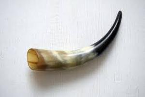 lot 12229 image: Polished Horn Drinking Horn