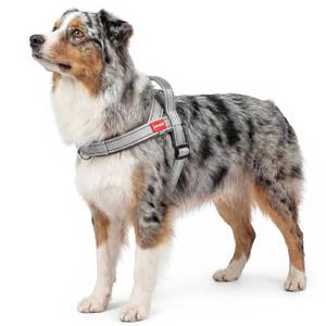 lot 6024 image: pangdi No Pull Dog Harness with Handle, Corgi Adjustable Reflective Dog Vest, Breathable Air Mesh Padded Pet Harness with Front Leash Clip for Small Medium Dogs, Light Grey, XL