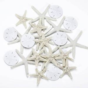 lot 12322 image: Jetec 24 Pcs Starfish Assorted Decor 3.14 Inch Starfish for Crafts Star Fish Shells Decorations Sand Dollar Ornament White Resin Star Fish Decorations for Wedding Beach Party Decor DIY Craft Supplies