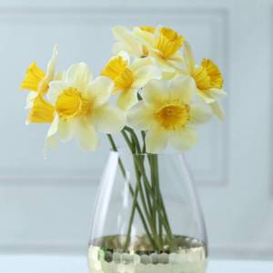 lot 16326 image: 6Pcs Artificial Daffodil Flowers, 15 inch Length Silk Narcissus Fake Flowers, Light Yellow Faux Daffodils Bouquet Floral Arrangement for Home Party Wedding Office Store Decor