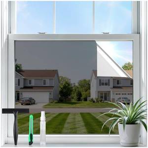 lot 4046 image: rabbitgoo One Way Privacy Window Film Window Tint for Home with Tools, UV Blocking Heat Control Static Cling No Glue, Daytime Privacy See Out Not in, 17.5 in X 6.5 Feet, Black Silver