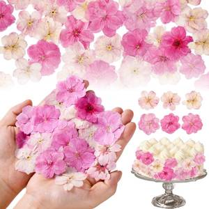 lot 4072 image: 40 Pcs 2 Kinds Natural Pressed Dried Edible Flowers for Cake Topper Decoration - Pink Mix Sakura, Cherry Blossoms for Cupcake Toppers, Cocktails, Resin Jewelry, DIY Crafts