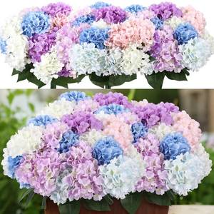 lot 11596 image: Suncalla Multicolor 6 Bundles Hydrangea Artificial Flowers Bulk 30 Heads 20 Faux Fake Hydrangea for Spring Graves Easter Decor Porch Indoor Outdoor Home Garden Wedding Table Centerpieces