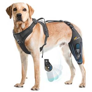 lot 12039 image: Dog Knee Brace for torn acl hind leg with Adjustable Hinge Stabilizer, Dog back brace for Osteoarthritis, Dog leg brace Support for Cruciate Ligament Injury,Recovery After,Patent Pending��Left Leg,L)