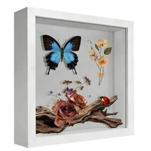 lot 12378 image: 8x8 Shadow Box Frame Display Case, 3D Picture Frame, Display Case Box for Memorabilia, Baby Items, Wedding Memories, Crafts, Tickets and Photos (White)