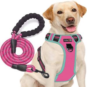lot 12431 image: No Pull Dog Harness Adjustable Reflective Oxford Easy Control Medium Large Dog Harness with A Free Heavy Duty 5ft Dog Leash