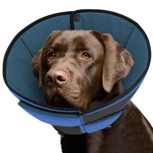 lot 20206 image: Queenmore Dog Cones for Large Dogs, Soft Dog Cone for Large Breeds, Cone for Dogs After Surgery, Adjustable Elizabethan Collar for Pet to Prevent Licking Wounds, Blue L