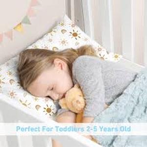 lot 19265 image: Toddler Pillow with Pillowcase, Small Kids Pillow for Sleeping