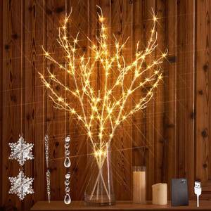 lot 11612 image: Hairui Lighted Branches with Iredescent Glitter 120 Fairy Lights USB Plug in and Battery Operated with Timer, White Twig Branches with Lights 32IN for Home Christmas Decorations Inside