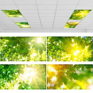 lot 14063 image: ROCEEI Pack of 4 Fluorescent Light Covers for Ceiling Lights, 4 x 2 Ft, Magnetic Light Covers for Classroom Office Home School Ceiling Decor(Fresh Leaves)