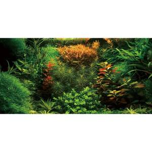 lot 14076 image: AWERT 24x12 inches Aquarium Background Seagrass Aquarium Background Aquatic Plant River Bed & Lake Fish Tank Background Vinyl Background
