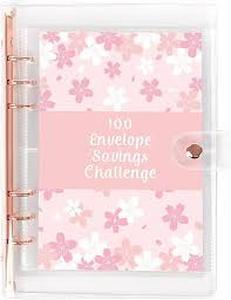 lot 16047 image: 100 Envelope Savings Challenge Binder Kit