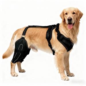 lot 2212 image: Noorace Adjustable Dog Knee Brace for Both Hind Legs - Support for ACLCCL, Luxating Patella, and Cruciate Ligament Injuries with Secure Wrap (XL)