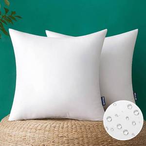 lot 5406 image: MIULEE Pack of 2 18x18 Inch Outdoor Pillow Inserts Waterproof Decorative Throw Pillow Insert, Square Lumbar Garden Pillow Form for Patio Sofa Couch