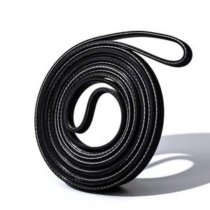 lot 6487 image: GANCO 341241 Dryer Belt Replace WED4815EW1 AP2946843 W10127457 FSP341241 8066065 14210003 31001026 31531589 Replacement Dryer Drum Belt Compatible with Whirlpool Kenmore Roper Amana Maytag