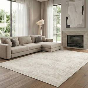 lot 15738 image: Homemate Washable Rug 5x7 Area Rugs - Vintage Faux Wool Rugs for Living Room Bedroom Dining Room - Non Slip Foldable Carpet Indoor Area Rug for Home Decor��5x7, Beige