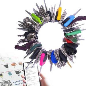 lot 16149 image: 105PCS Non-Duplicate Heavy Equipment Keys Master Set, Construction Ignition Key for CAT JLG Case JD Hyster Kubota Komatsu Yanmar Terex Ford New-Holland Volvo JCB and More, LM105KS