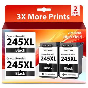 lot 20450 image: 245XL Ink Cartridge Replacement for Canon 245XL Black Ink Cartridge PG-245 XL PG245 Black for Canon Pixma MG2522 MG2520 TR4522 TR4520 TR4500 TS202 TS3322 TS3122 TS3322 MX490 MX492 Printer (2 Black)