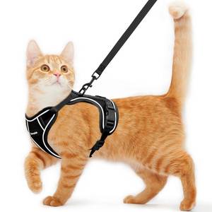 lot 12046 image: Cat Harness and Leash for Walking Escape Proof Soft Adjustable Cat Leash Breathable Comfortable Vest Easy to Wear Kitten Harness for Outdoor Travel (Black, S (7-12lb)) (Used)