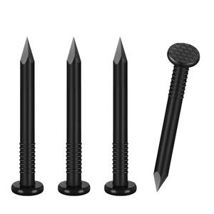 lot 12091 image: VGBUY 634PCS Hardware Nails, 1 Inches Flat Head Black Nails for Hanging Pictures, Picture Hanging Nails, Small Nails, Wall Nails, Wood Nails, Finishing Nails (Only Screws)