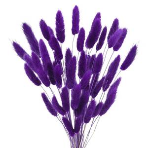 lot 12173 image: Uieke 17���� Natural Bunny Tails Dried Flowers, 50 Pcs Dried Lagurus Ovatus, Dried Purple Pampas Grass Decor for Farmhouse Flower Arrangements Wedding Home Craft Boho Party Decorations