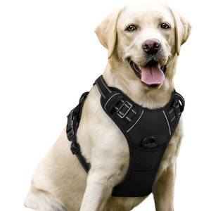 lot 12393 image: rabbitgoo Dog Harness No Pull with 2 Leash Clips, Adjustable Soft Padded, Reflective Oxford No Choke Pet Vest with Easy Control Handle for Large Dogs, Black, L